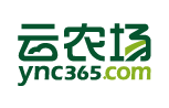 Ync365