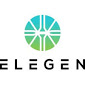 Elegen Corp.