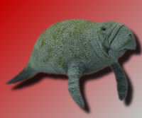 Manatee Technologies