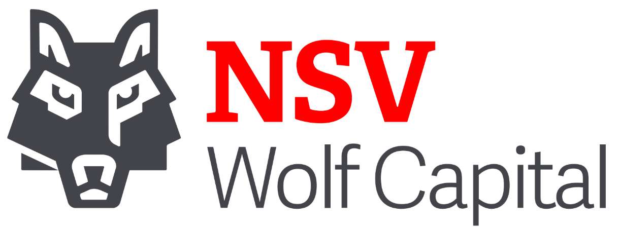 NetService Ventures