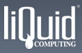 Liquid Computing Corp.