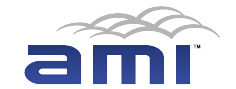 AMI Global LLC