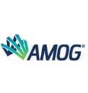 AMOG Consulting