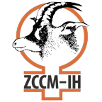 ZCCM Investments Holdings