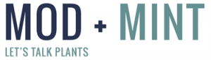 Mod and Mint