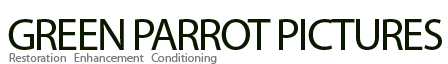 Green Parrot Pictures