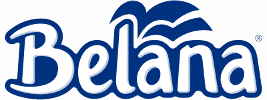 Belovo Paper Mill