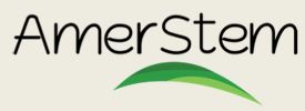 Amerstem