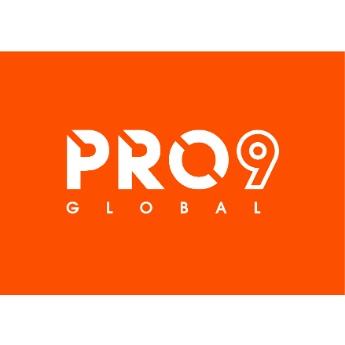 Pro9 Global Ltd.