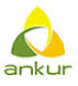 Ankur Scientific Energy Technologies Pvt Ltd.