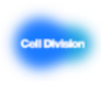 Cell Division