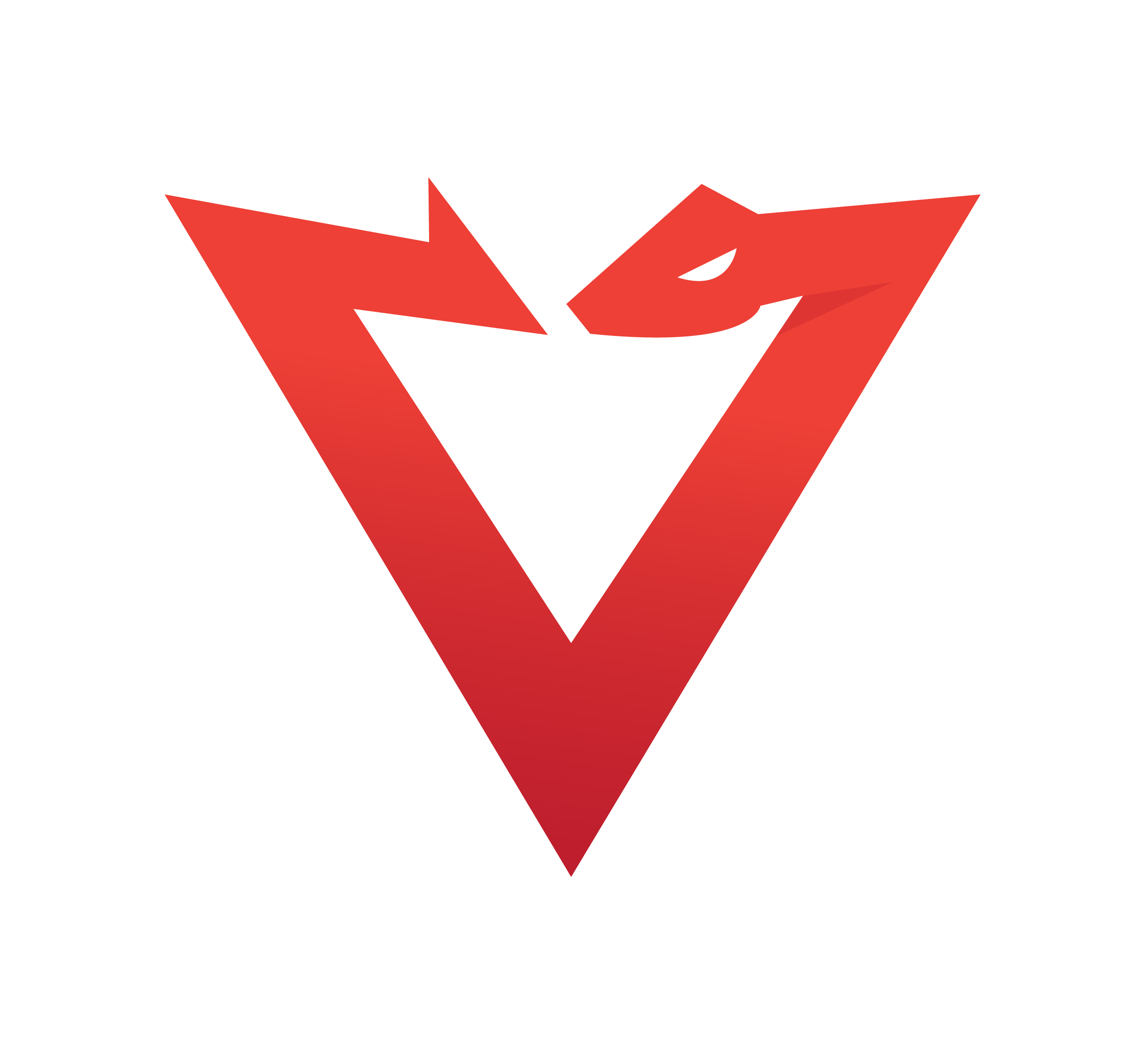 Viper Network Systems
