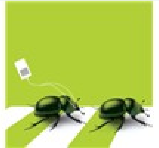 Beetle Beats