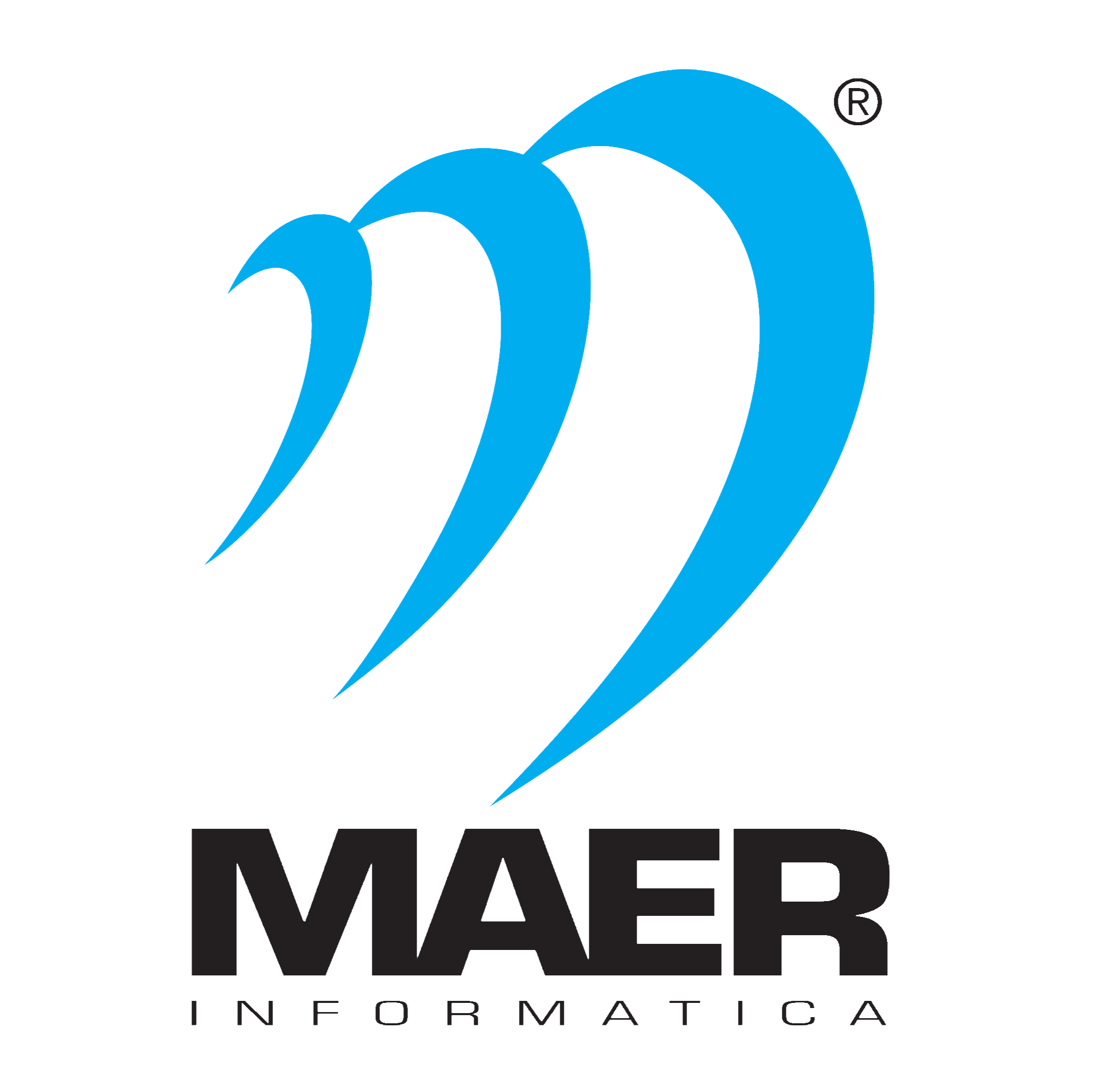 Maer Informatica SRL