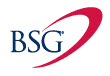 BSG Billing Services Group