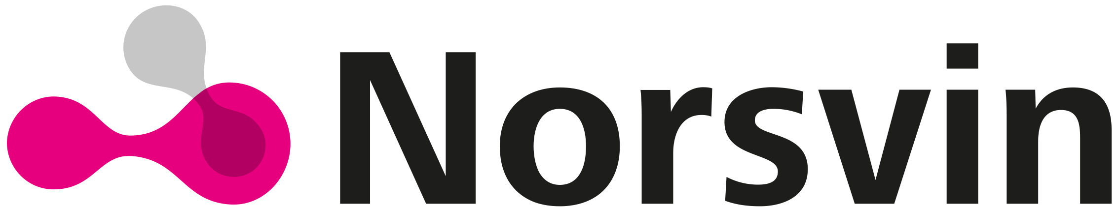 Norsvin