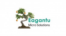 Eagantu Ltd.