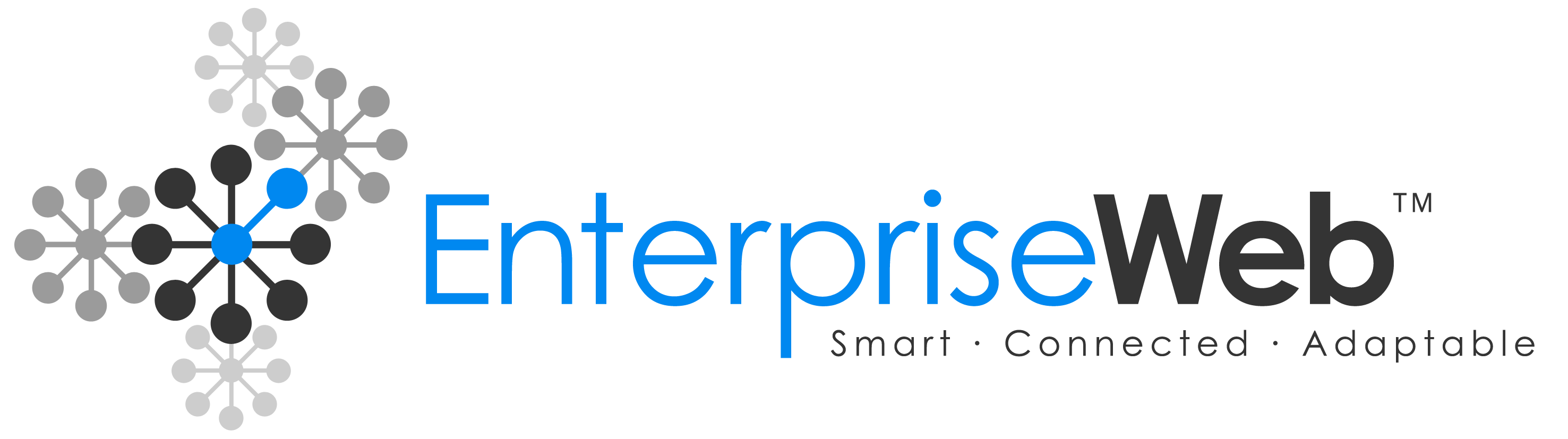 Enterpriseweb LLC