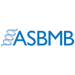 The American Society for Biochemistry and Molecular Biology