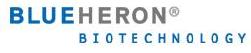Eurofins Genomics Blue Heron LLC