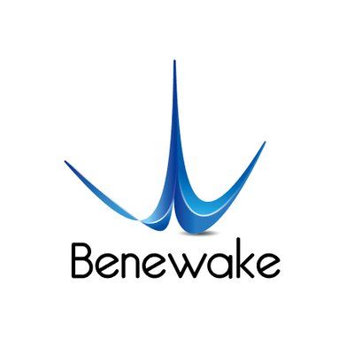 Benewake (Beijing) Co. Ltd.