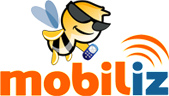 Mobiliz Servicios