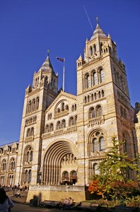 NHM /London