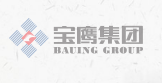 Shenzhen Bauing Construct