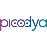 Picodya Technologies Ltd.