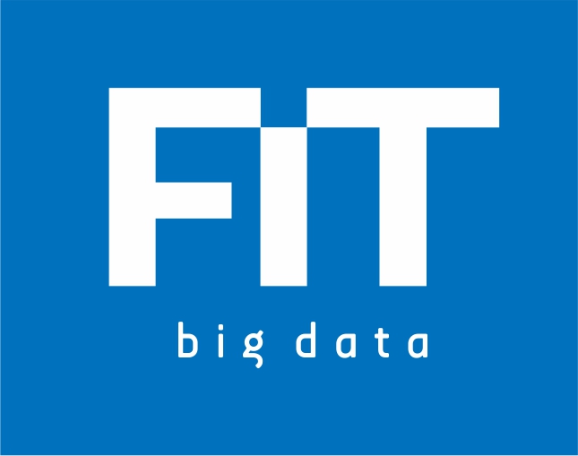 Fit Big Data