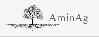 AminAg