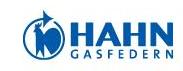 HAHN-Gasfedern GmbH