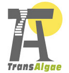 TransAlgae Ltd.