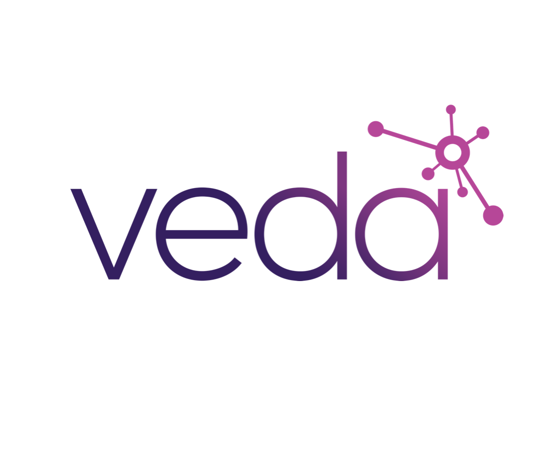 VEDA Data Solutions, Inc.