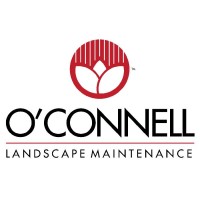 O'Connell Landscape
