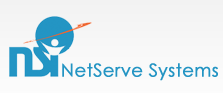 NetServe Systems, Inc.
