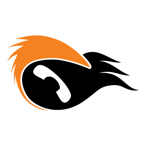 PhoneX Security