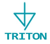 Triton Services, Inc.