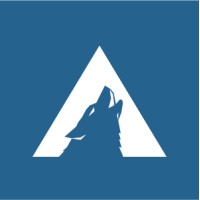 Arctic Wolf Networks