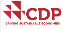 CDP Worldwide