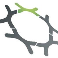 Axoone