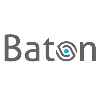 Baton Systems LLC