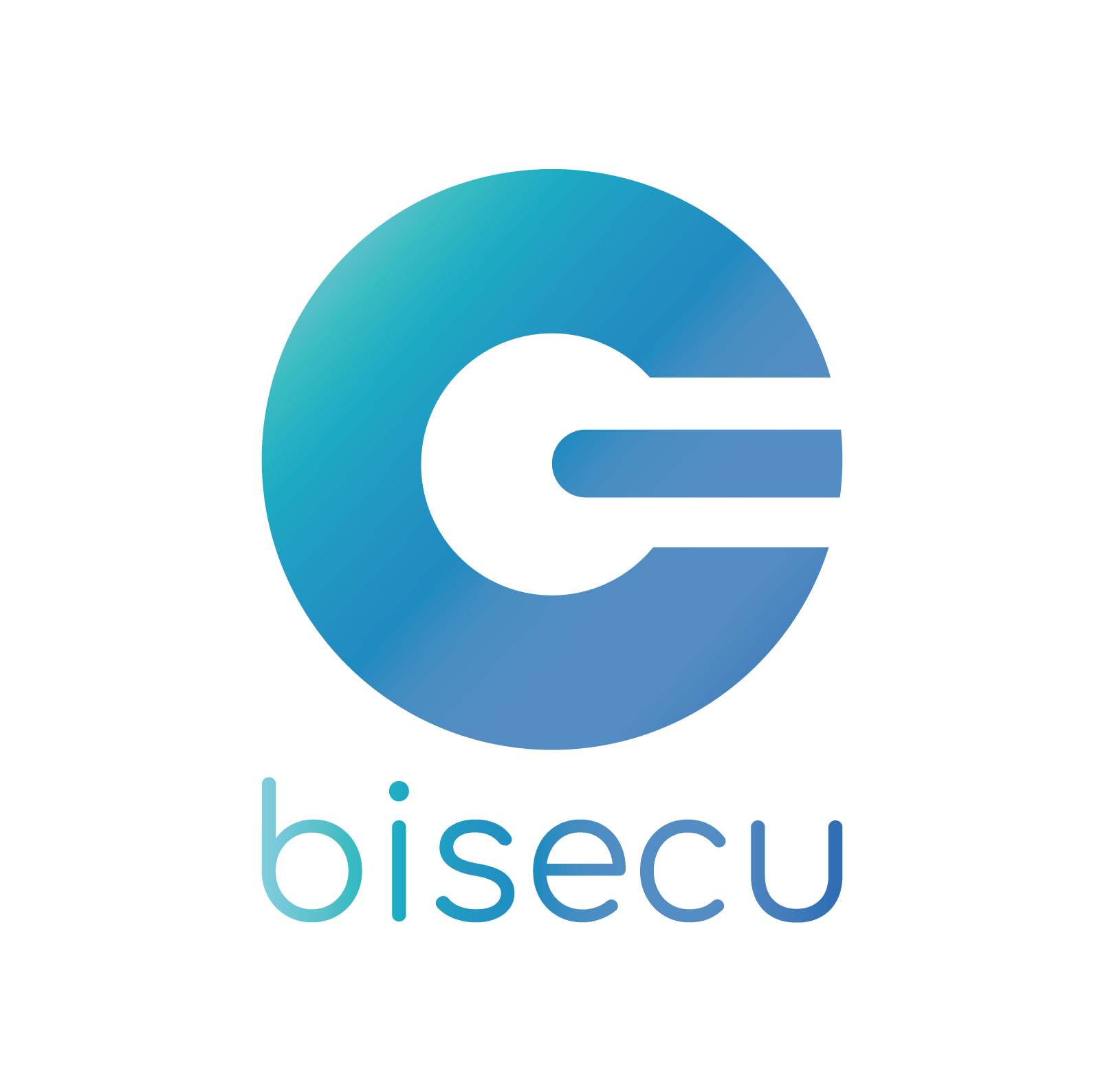 Bisecu, Inc.