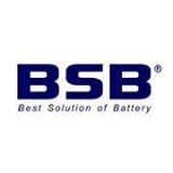 Bsb Power Co. Ltd.