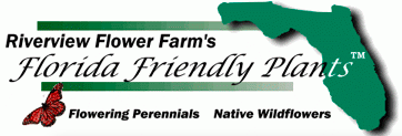 Riverview Flower Farm