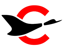 Canard Drones
