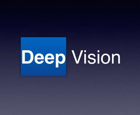 Deep Vision