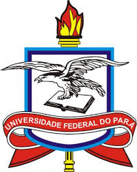 Federal University of Pará