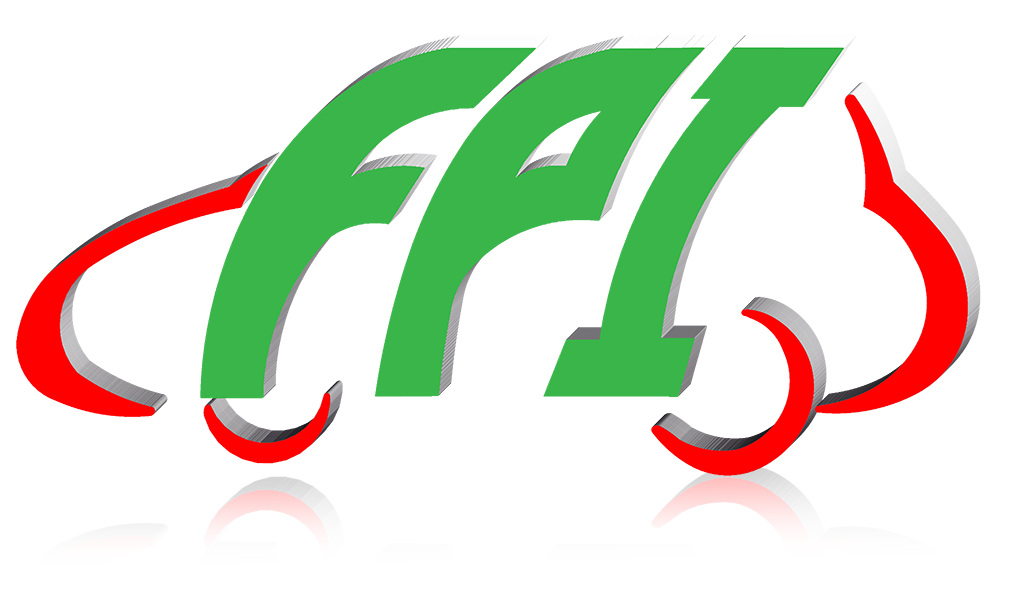 Fortune Parts Industry