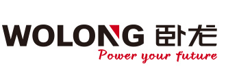 Wolong Electric Group Co. Ltd.